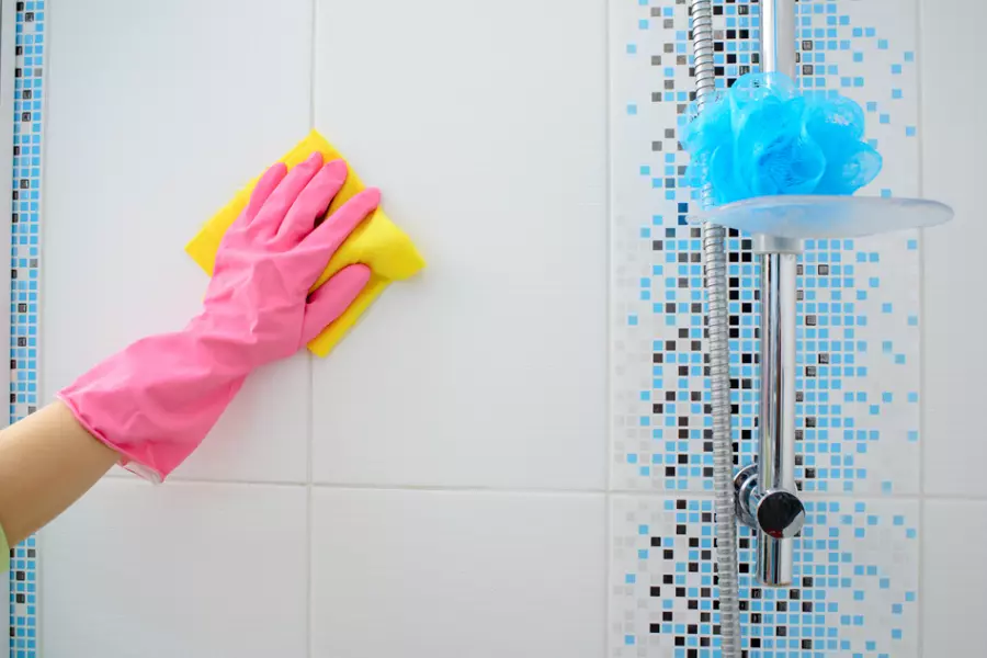 Bathroom Cleaning